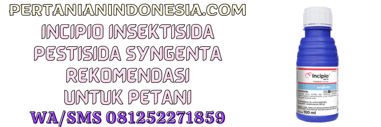 incipio,insektisida,pestisida,incipio 200 sc,incipio syngenta,pertanian indonesia